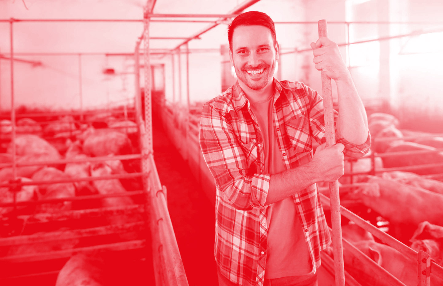 CARNE, SPEZIE E TUTTO IL TEMPO CHE SERVE