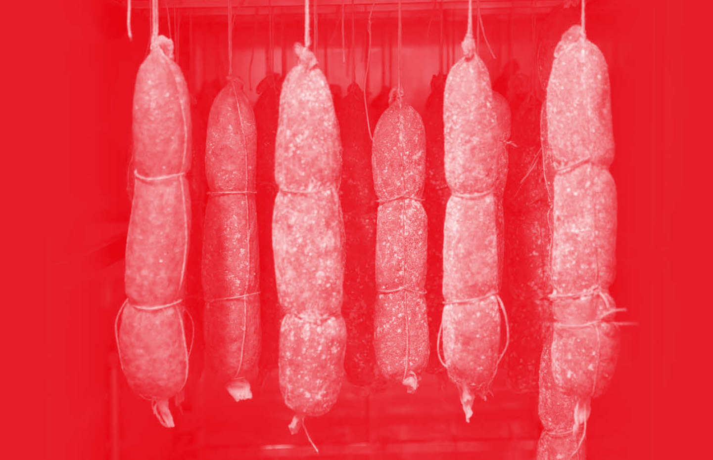 CARNE, SPEZIE E TUTTO IL TEMPO CHE SERVE