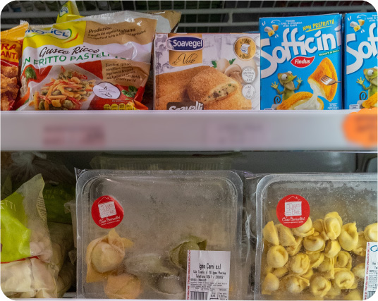 surgelati_prod_1_1-80