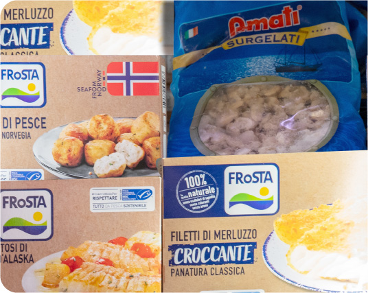 surgelati_prod_2_2-80